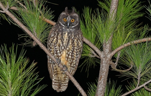 Perdidos en el parque nacional Los Haitises