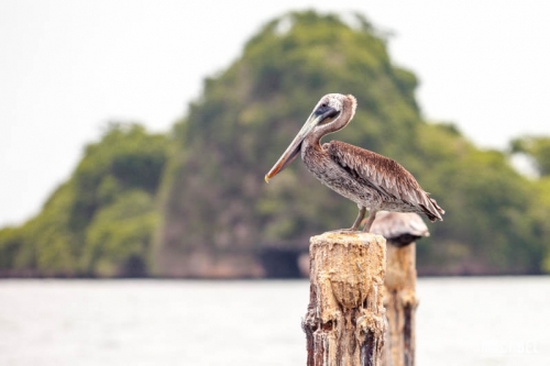 Perdidos en el Parque Nacional los Haitises